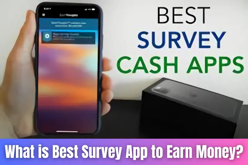 what is best survey app to earn money